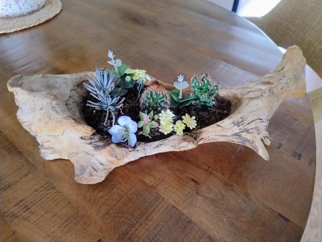 Te koop houten bloempot met cactussen, Huis en Inrichting, Ophalen, Rond, Hout