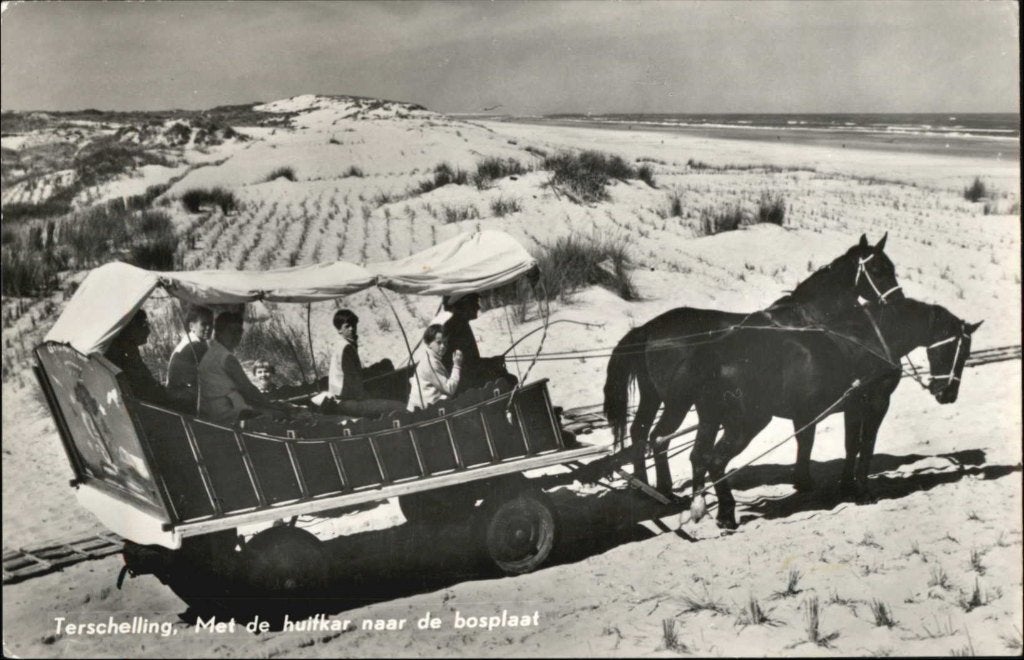 Terschelling met de huifkar naar de Bosplaat 1960., Verzamelen, Ansichtkaarten | Nederland, Ophalen, 1940 tot 1960, Gelopen, Waddeneilanden