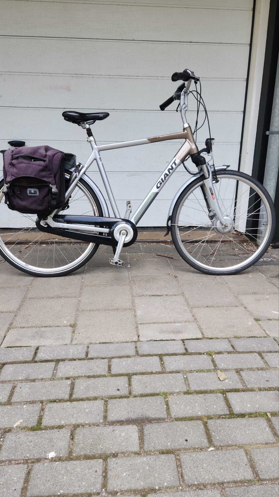Giant Twist Go  elektrische fiets met 2accu's en fiets tas, Fietsen en Brommers, Ophalen, Gebruikt, Giant, 55 tot 59 cm