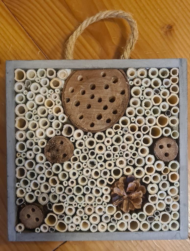 Bijenhotel, insectenhotel (met hartjes), Ophalen of Verzenden, Nieuw
