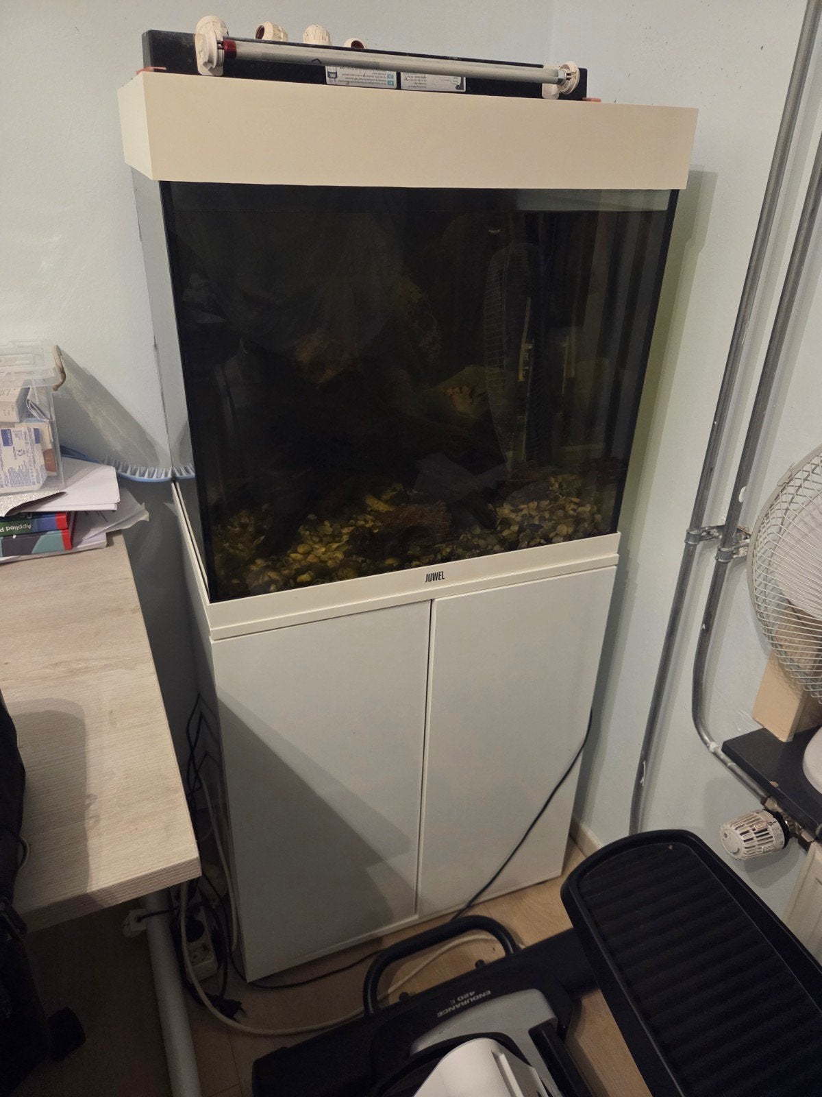 juwel aquarium 60x40x50cm, Ophalen of Verzenden