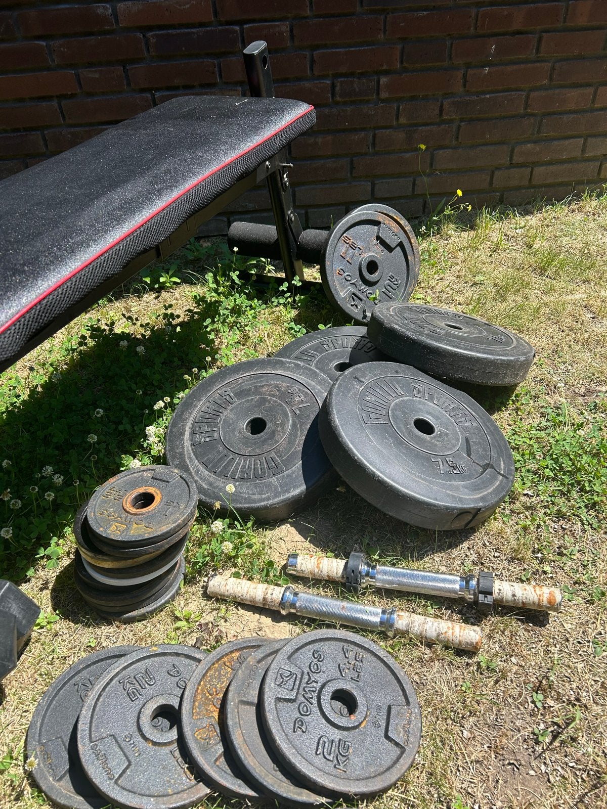 Fitnessbank met Halterschijven en Dumbbells, Sport en Fitness, Fitnessmaterialen, Ophalen, Gebruikt, Armen, Fitnessbank