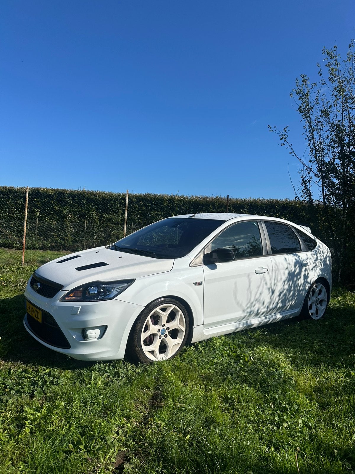 Ford Focus ST225 2.5 20V Turbo compleet of in onderdelen, Ophalen of Verzenden, Voor, Ford, Motorkap