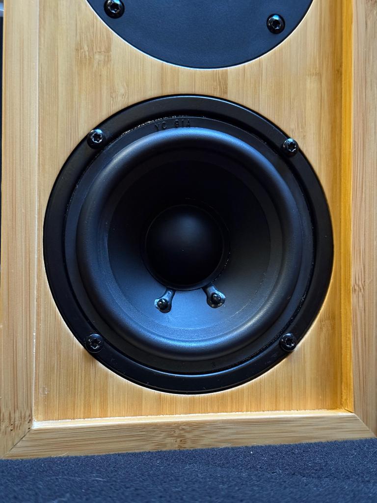 iFi audio Retro LS3.5, Audio, Tv en Foto, Gebruikt, Minder dan 60 watt, Front, Rear of Stereo speakers, Ophalen
