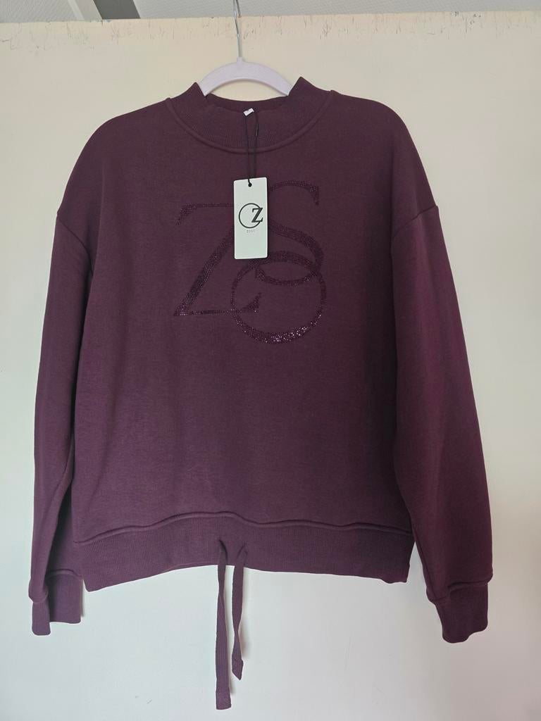 Nieuwe trui zoso bordeaux glitter s m, Ophalen of Verzenden, Nieuw, Maat 38/40 (M), Rood