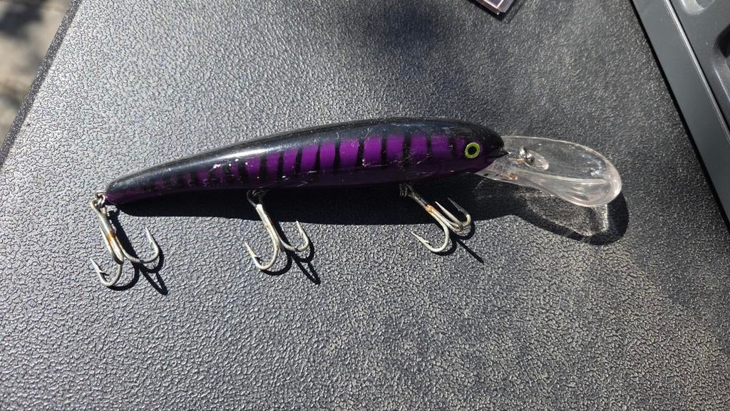 Mann's S25+ purple mackerel plug, Ophalen of Verzenden, Nieuw, Overige typen