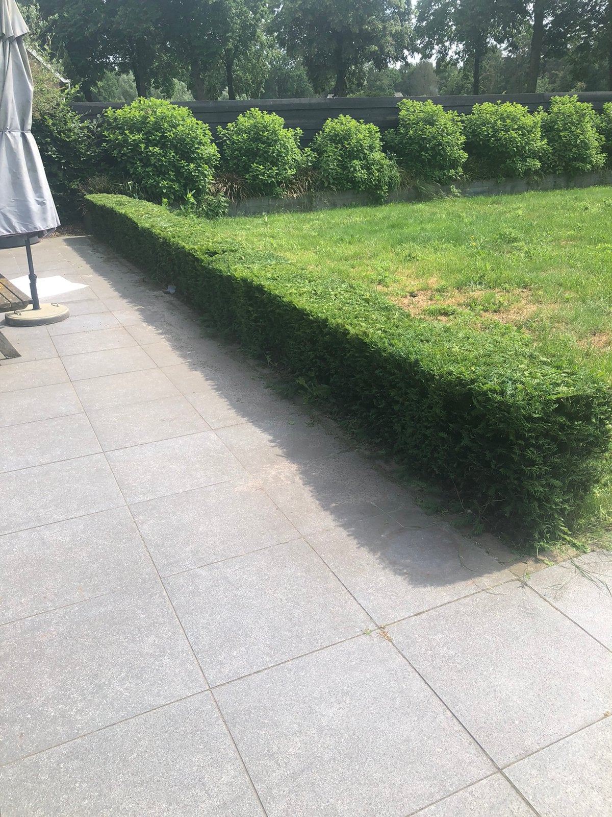 Tuinman aangeboden, Diensten en Vakmensen, Tuinmannen en Stratenmakers, Tuinonderhoud of Snoeiwerk