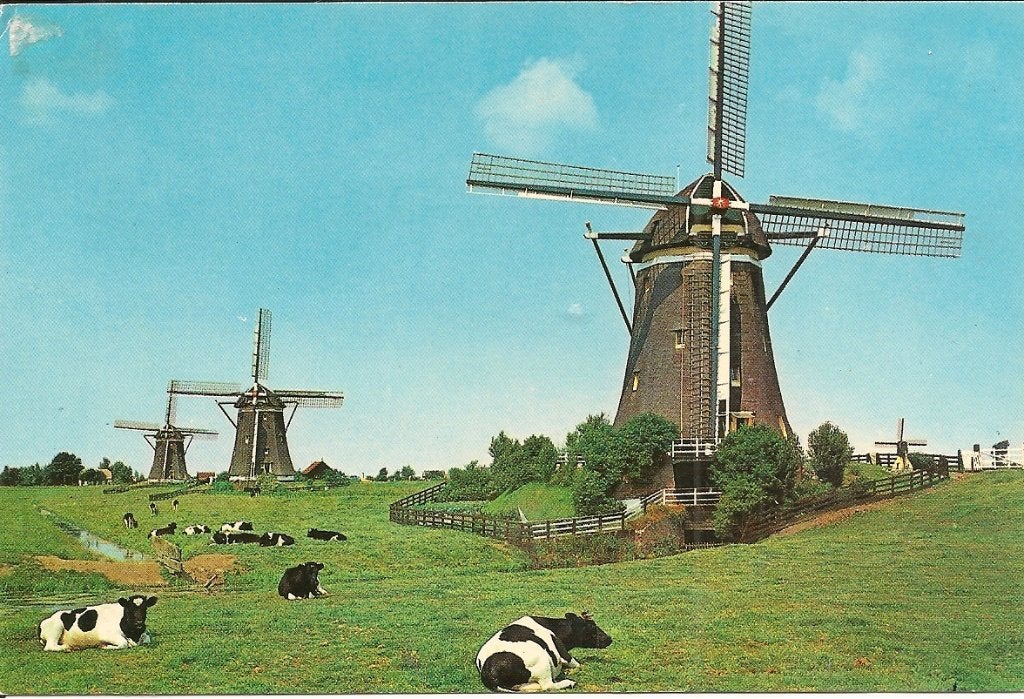 Ansichtkaart Molens van Leidschendam, Wilsveen (1903), Verzamelen, Ansichtkaarten | Nederland, Ophalen of Verzenden, 1980 tot heden