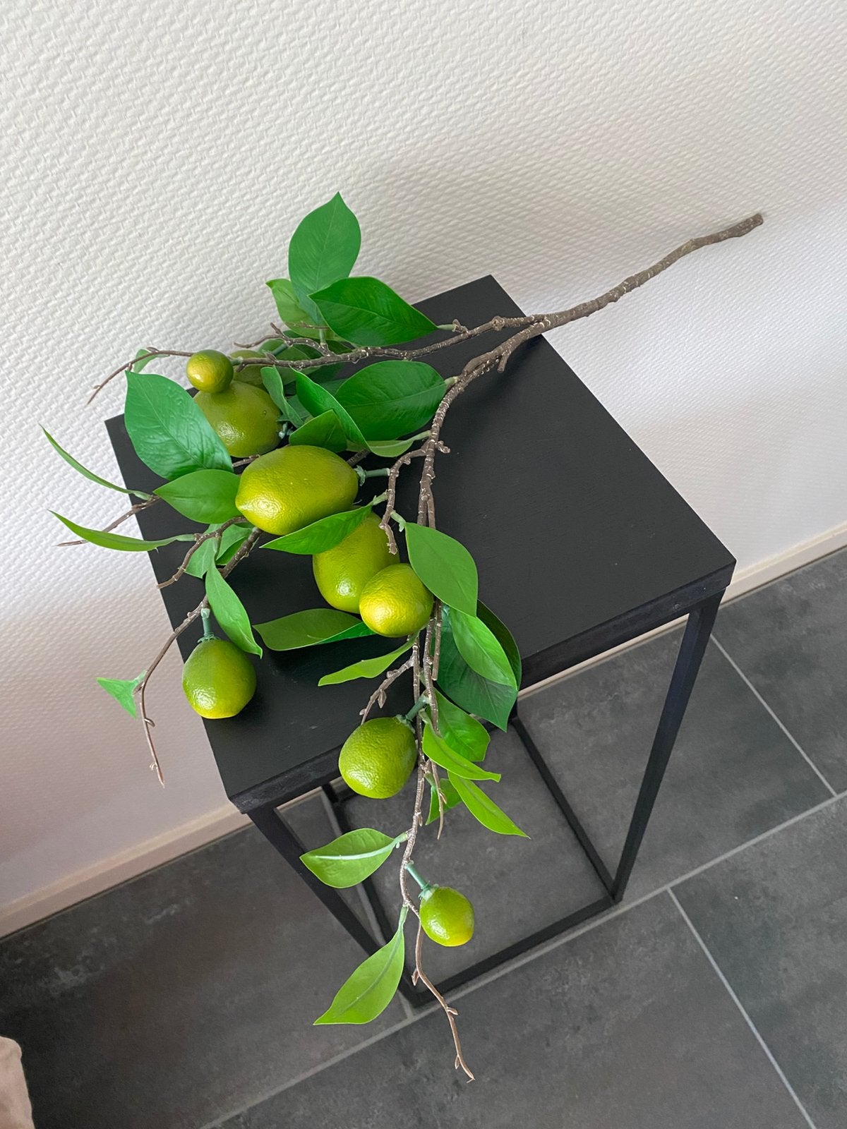 Kunst tak met citroenen., Ophalen, Binnen, Overige typen, Overige materialen