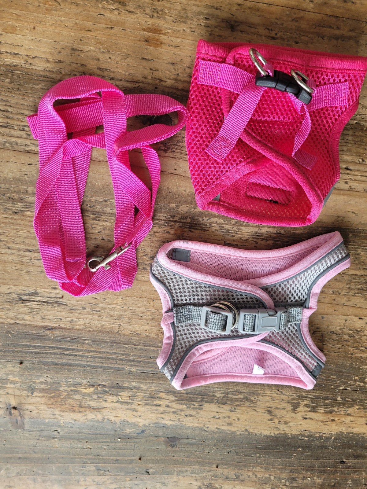 2tuigjes met riem, maat xs en s, nooit gebruikt, Dieren en Toebehoren, Overige merken, Ophalen of Verzenden, Nieuw, Hondentuig