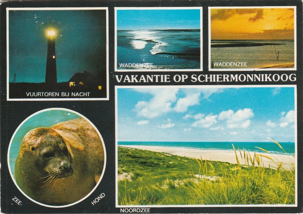 SCHIERMONNIKOOG Vuurtoren Zeehond Waddenzee, Verzenden, 1960 tot 1980, Gelopen, Waddeneilanden