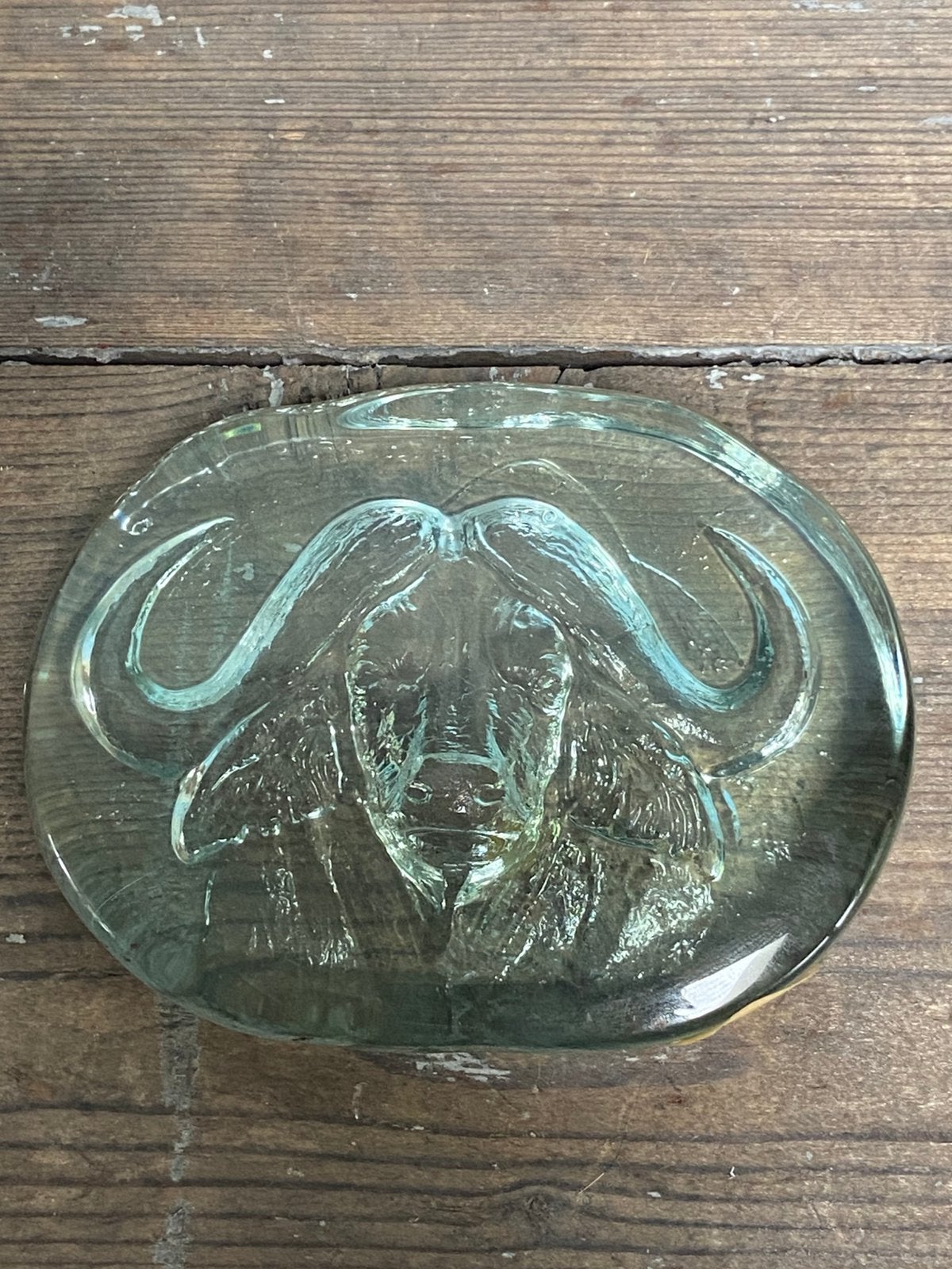 Vintage ‘90 Ngwenya Glass presse-papier – buffel ( big Five), Antiek en Kunst, Ophalen of Verzenden