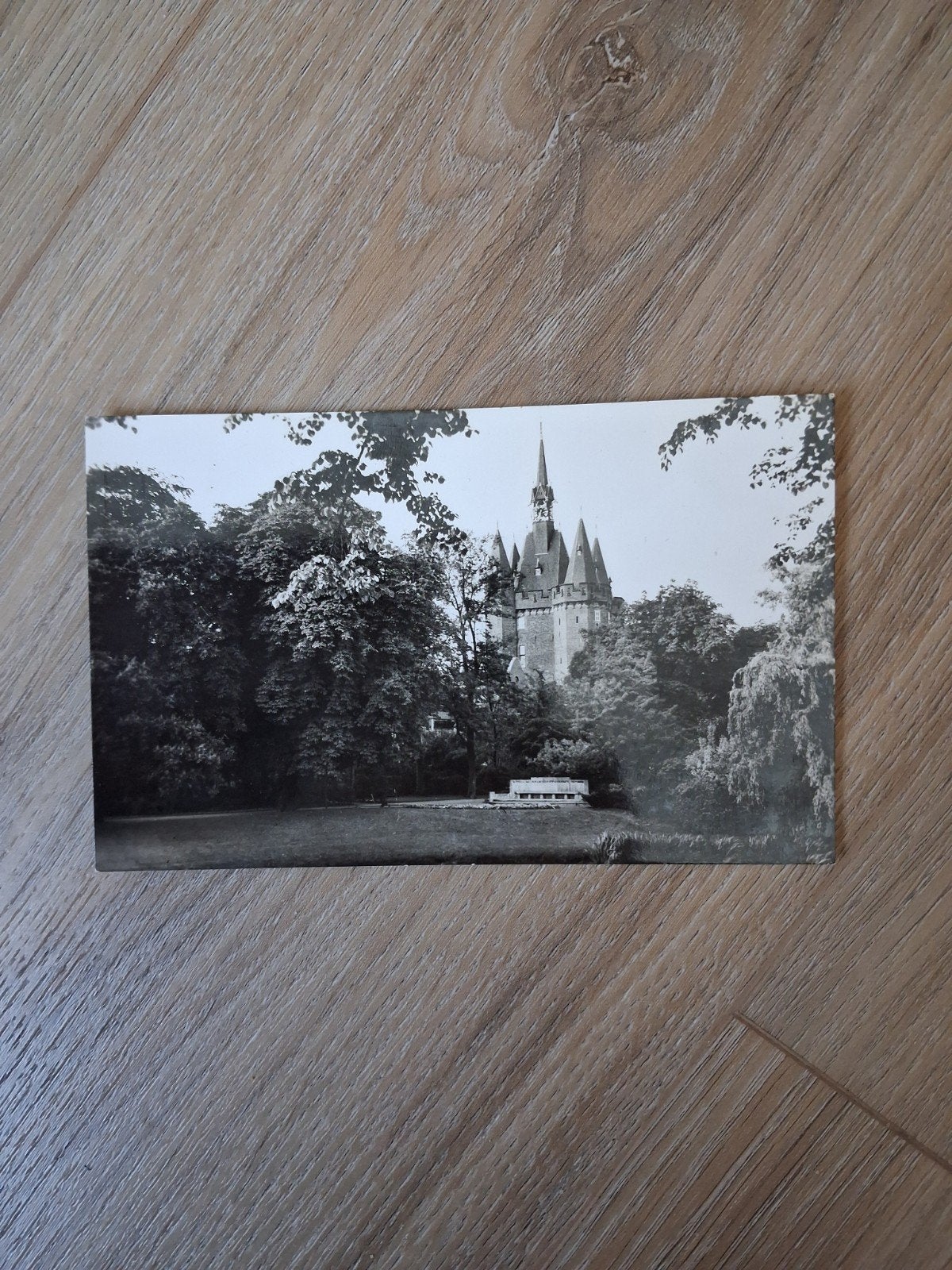 Ansichtkaart Sassenpoort in Zwolle, Ophalen of Verzenden, Overijssel