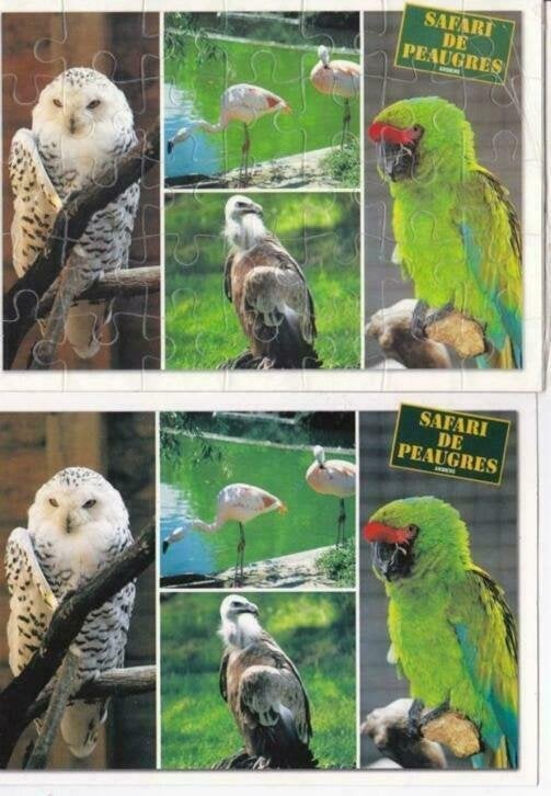 2 Franse (puzzel) ansichtkaarten vogels, uil, flamingo, Ophalen of Verzenden, 1980 tot heden, Ongelopen, Vogel