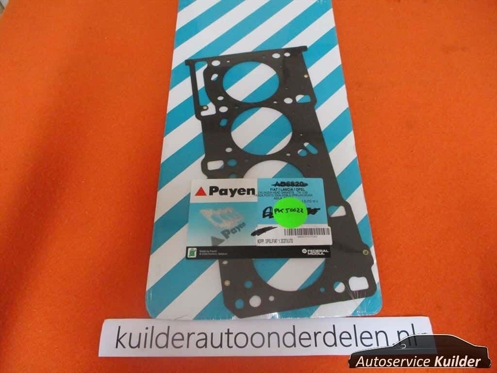 Koppakking Opel Fiat Alfa 1,3Jtd cdti PAYEN, -, -, Alfa Romeo, Nieuw