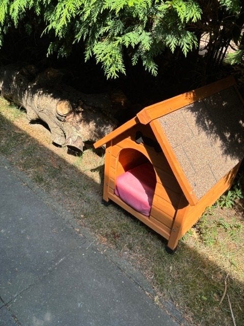 hondenhok, Ophalen, 65 tot 100 cm, 75 tot 110 cm, Nieuw