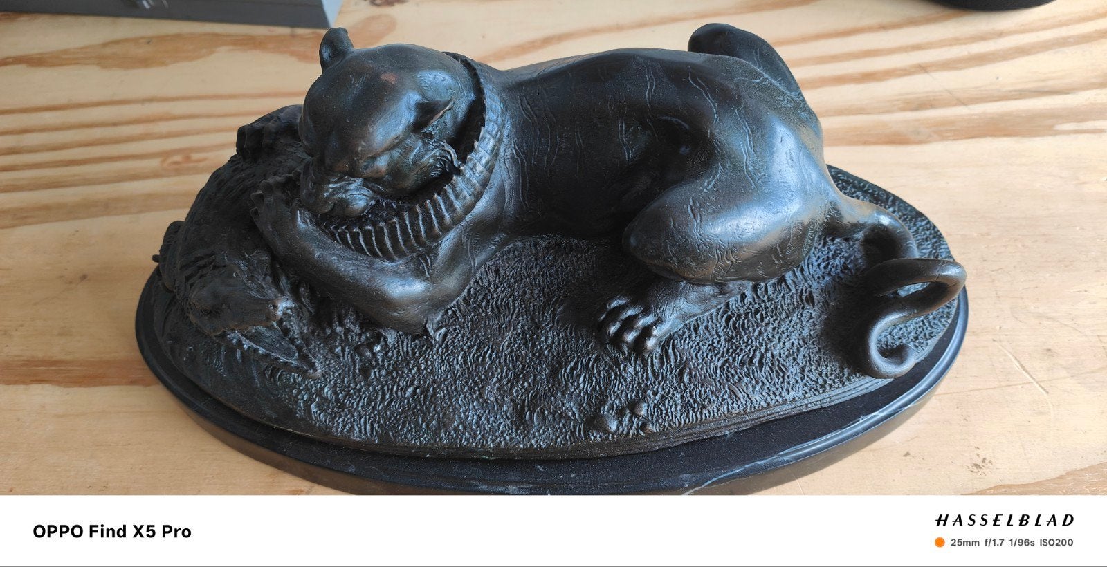 Bronzen beeld: Tijger vecht met krokodil, Gepatineerd, Ophalen of Verzenden, 20 - 50 cm, Beeld