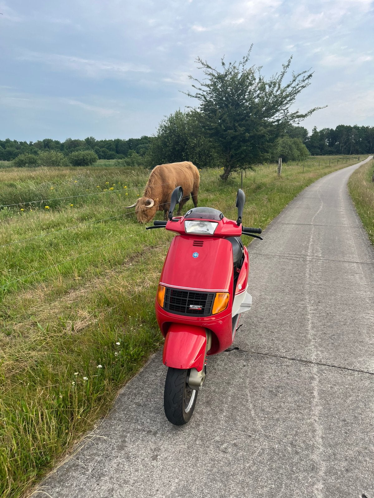 Piaggio quartz 50cc lc limited editie, Ophalen of Verzenden, Zo goed als nieuw, Tweetakt, Piaggio