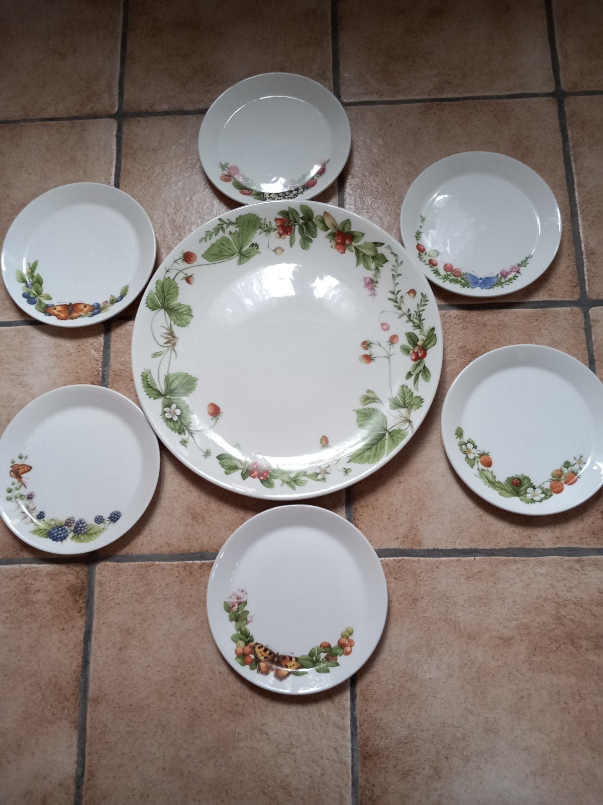 Marjolein Bastin bosvruchten gebaksstel, Huis en Inrichting, Ophalen of Verzenden, Zo goed als nieuw, Bord(en), Overige stijlen