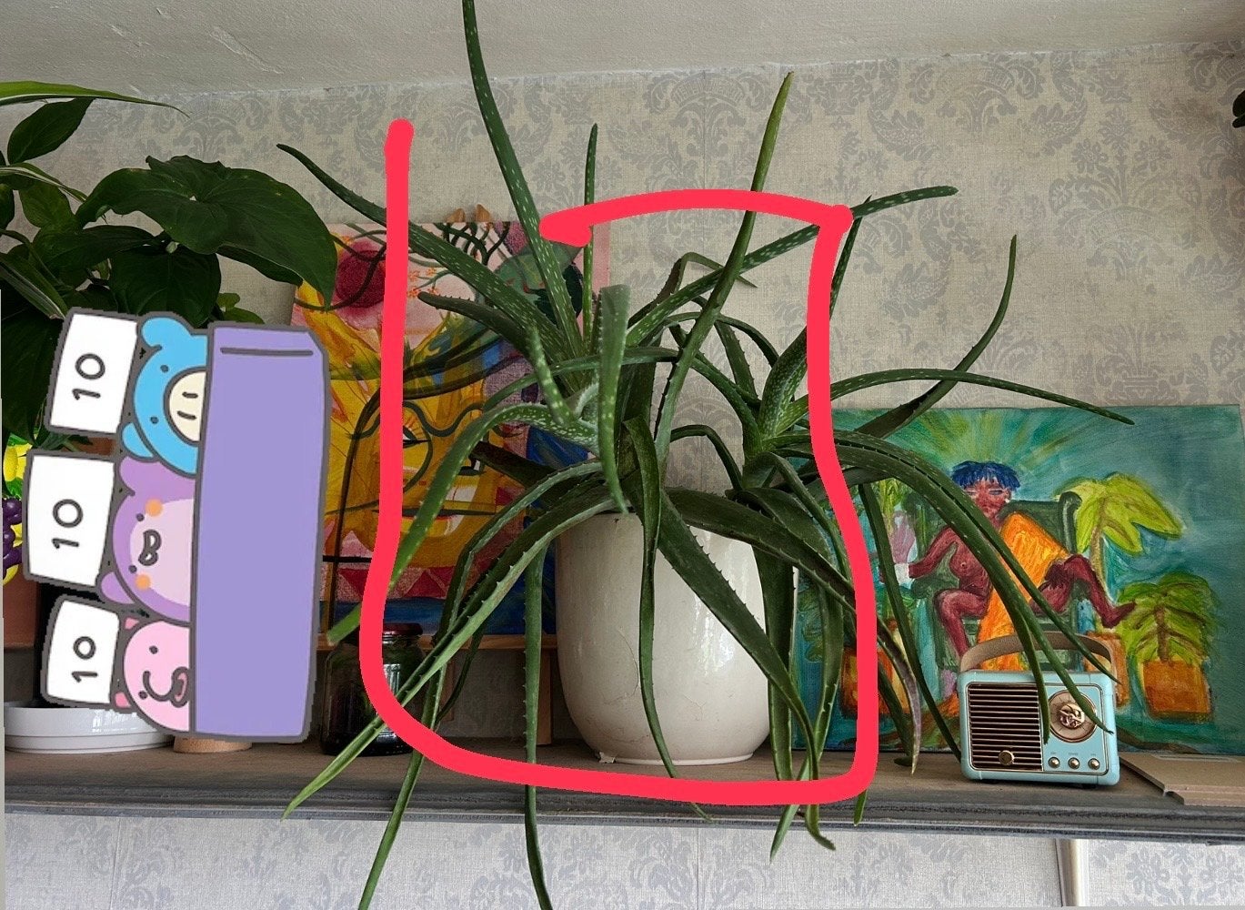 Grote Aloë Vera plant te koop - Ophalen in Zeist, Huis en Inrichting, Kamerplanten, Ophalen, Vetplant, In pot, Minder dan 100 cm