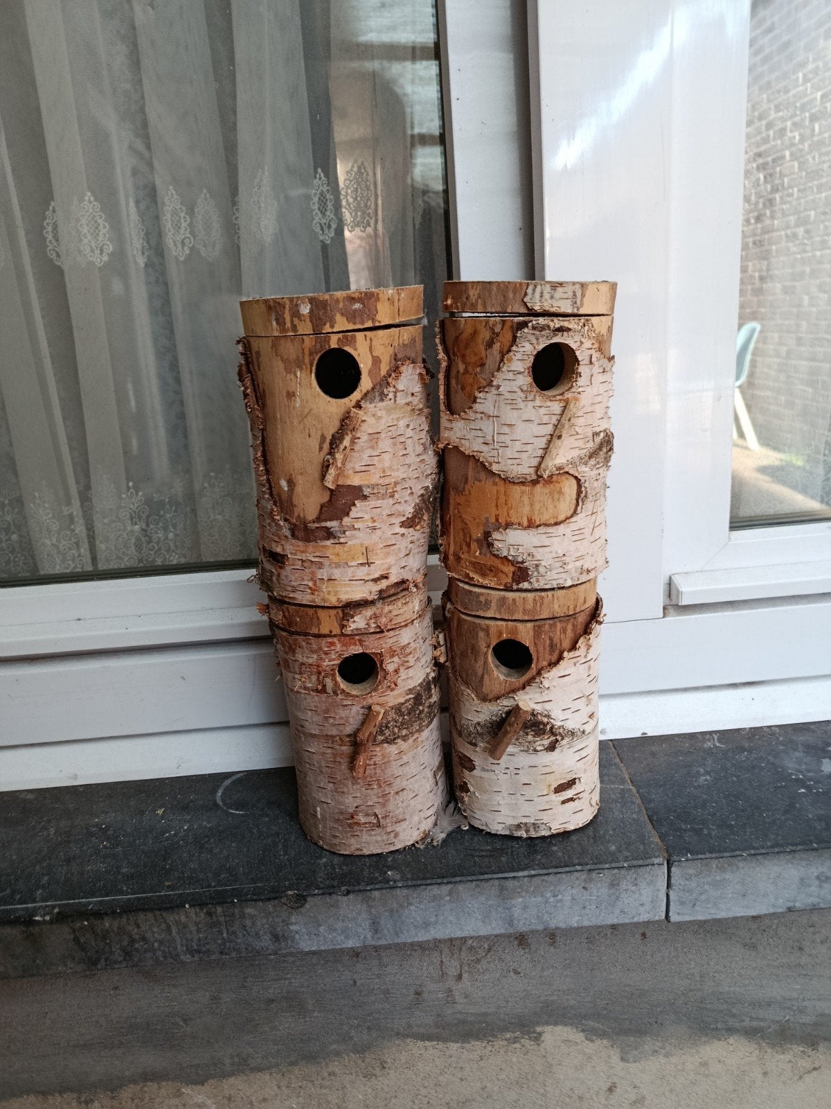 broedblok parkieten of exoten te koop 4x 6€ stuk of 20€ de 4