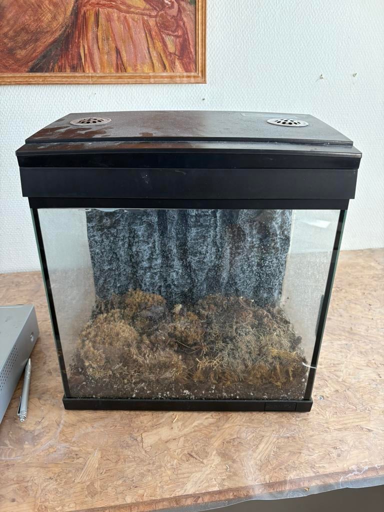 Terrarium, Dieren en Toebehoren, Reptielen en Amfibieën | Toebehoren, Ophalen, Zo goed als nieuw
