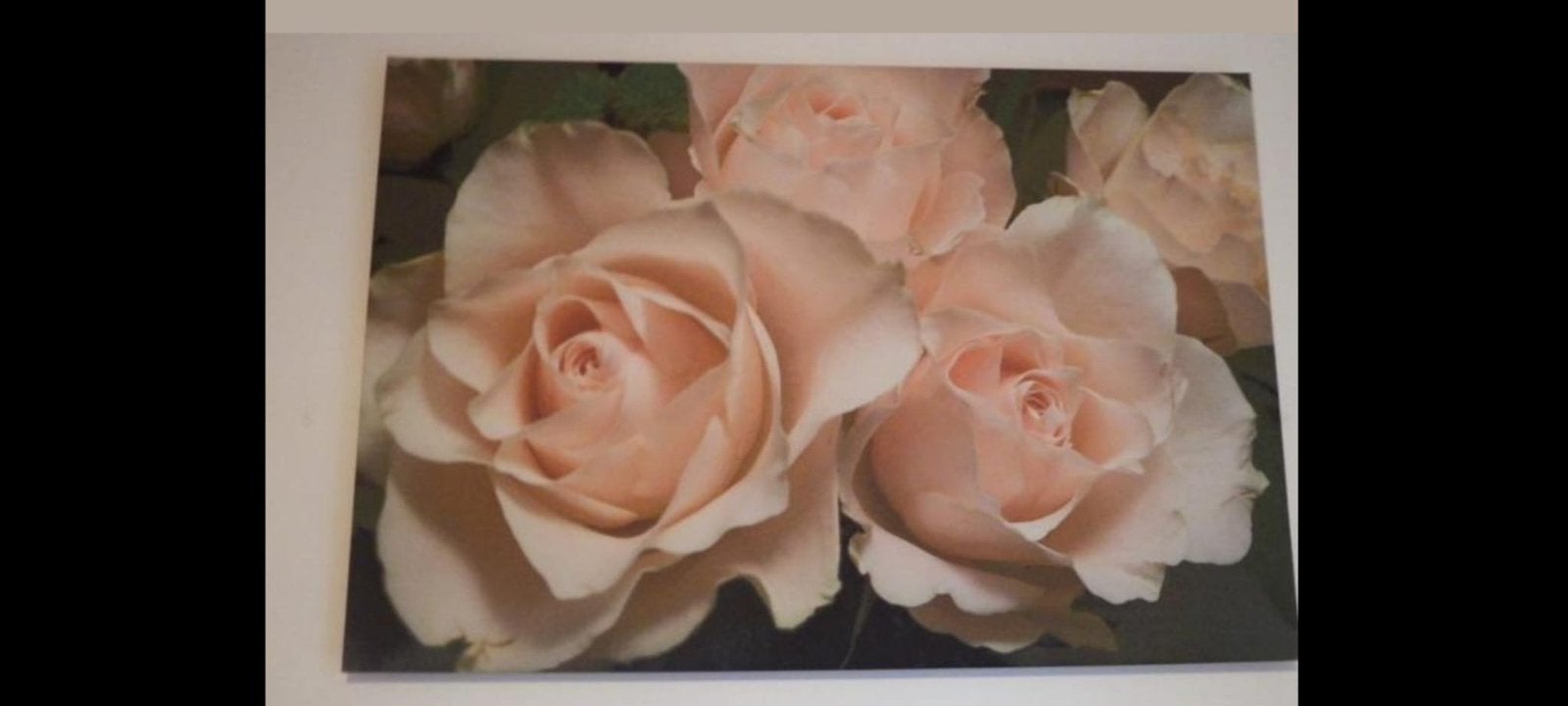 Zeer groot unieke rozen Schilderij, Ophalen of Verzenden, Zo goed als nieuw