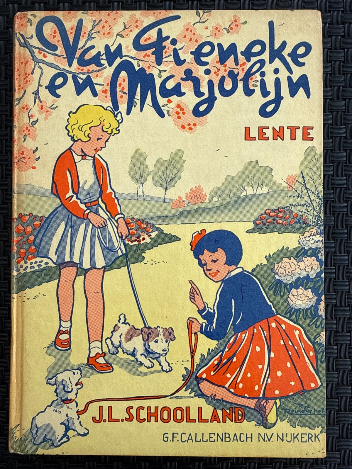 Van Fieneke en Marjolijn - Lente - J.L. Schoolland, Ophalen of Verzenden, Gelezen, Fictie algemeen