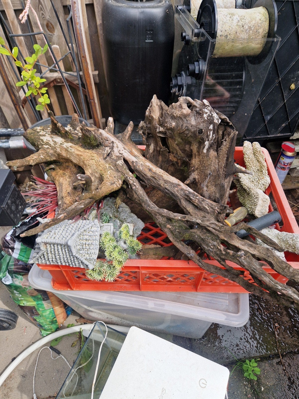 Gratis aquarium spullen, Dieren en Toebehoren, Vissen | Aquaria en Toebehoren, Ophalen, Plant(en), Steen of Hout