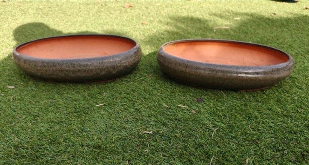 2 x bonsai pot 39 x 24 x 8, Tuin en Terras, Bloempotten, ., Ophalen of Verzenden, ., Aardewerk