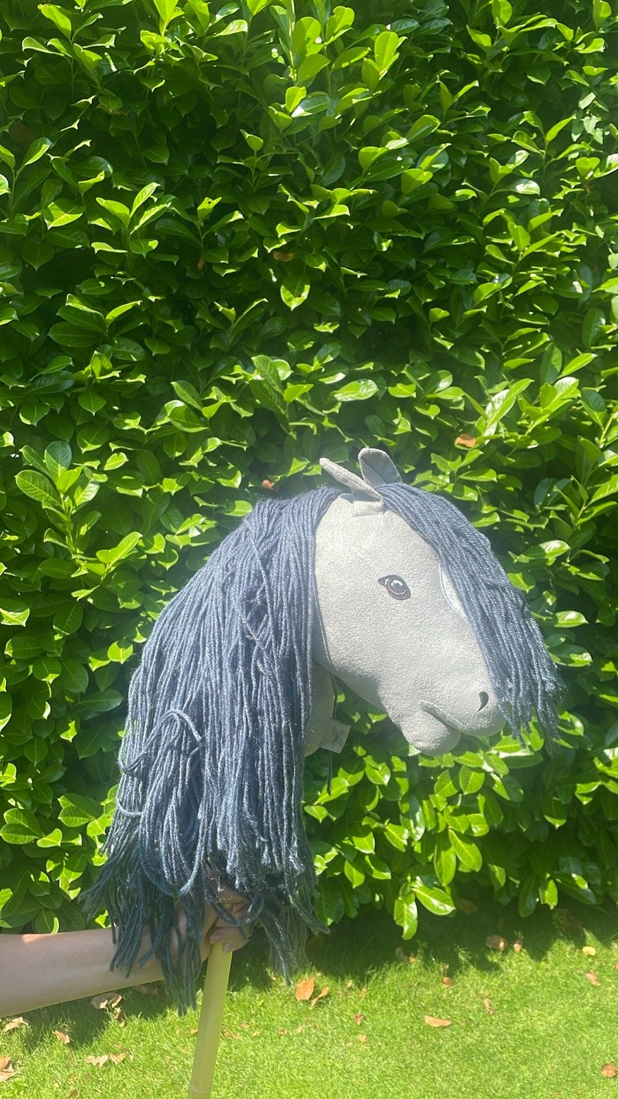 Hobby Horse / Stokpaardjes - Diverse Modellen, Ophalen, Gebruikt, Jongen of Meisje