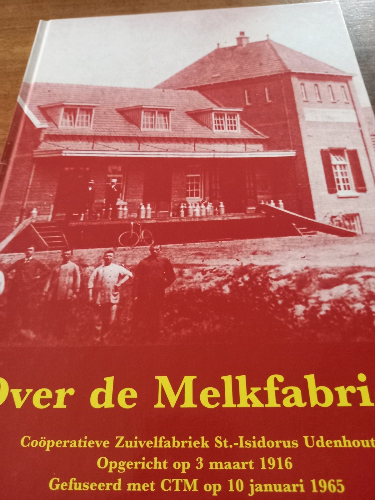 Udenhout, Boeken, Ophalen of Verzenden, Europa