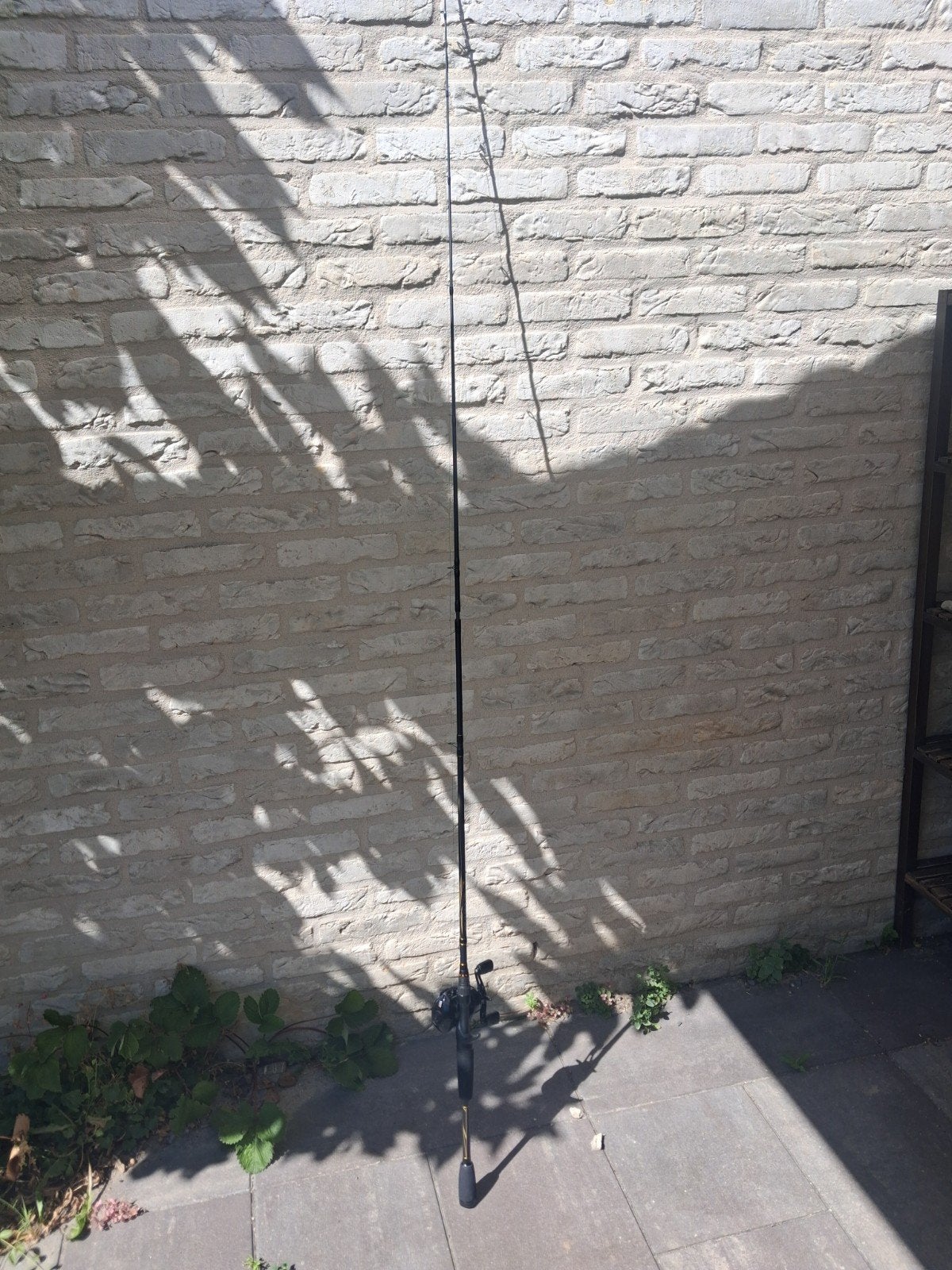 Abu Garcia Pro Max Werphengel met reel, Ophalen of Verzenden, Zo goed als nieuw, Complete hengel