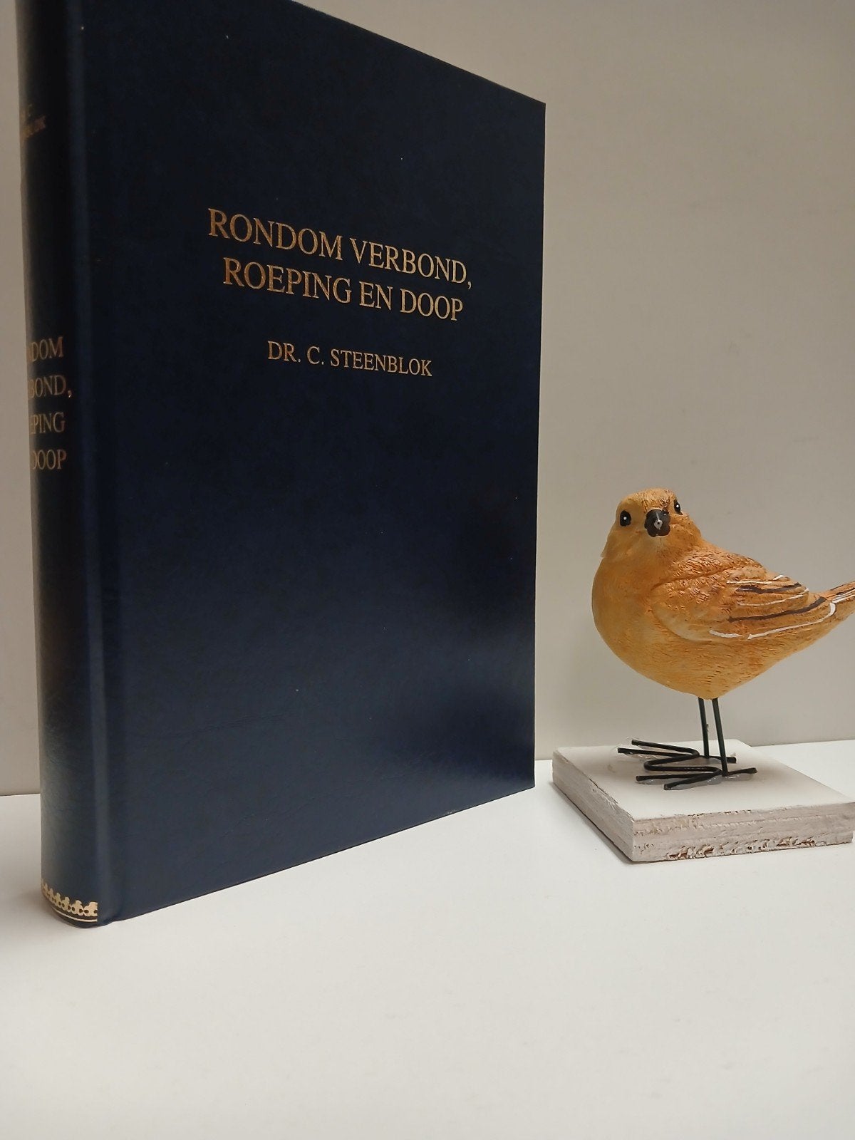 Steenblok, Dr. C.; Rondom verbond, roeping en doop, Boeken, Ophalen of Verzenden, Gelezen, Christendom | Protestants
