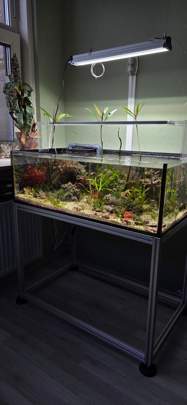 Zeeaquarium Shallow reef of stekkenbak., Ophalen, Zo goed als nieuw, Leeg aquarium