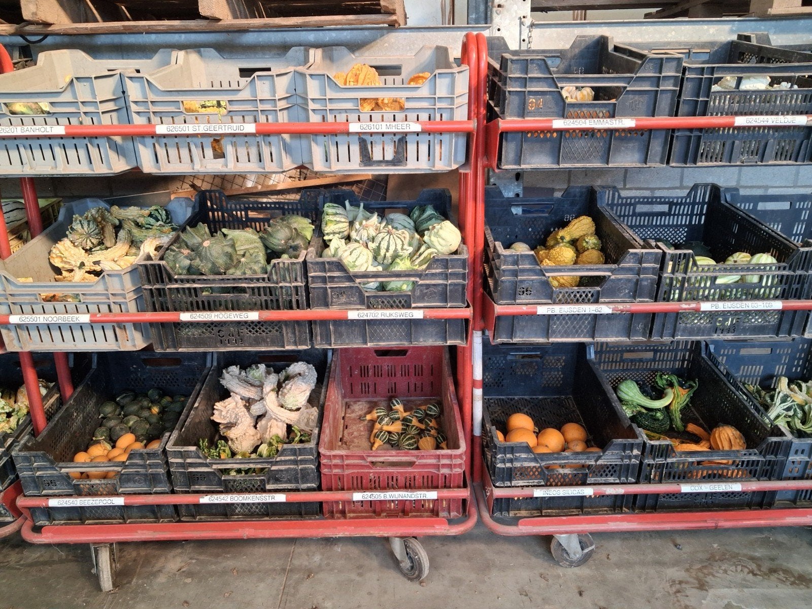 sierpompoenen, Ophalen, Nieuw