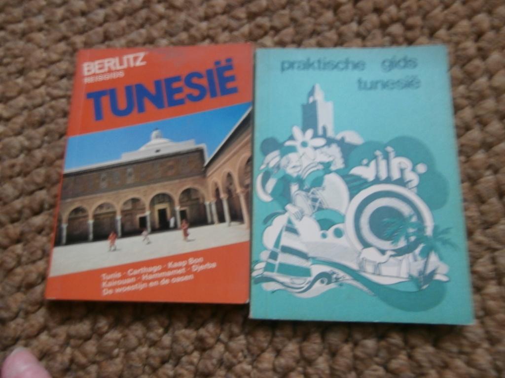 Reisgids Berlitz Tunesië en praktische gids Tunesië, Afrika, Ophalen of Verzenden, Reisgids of -boek, Berlitz