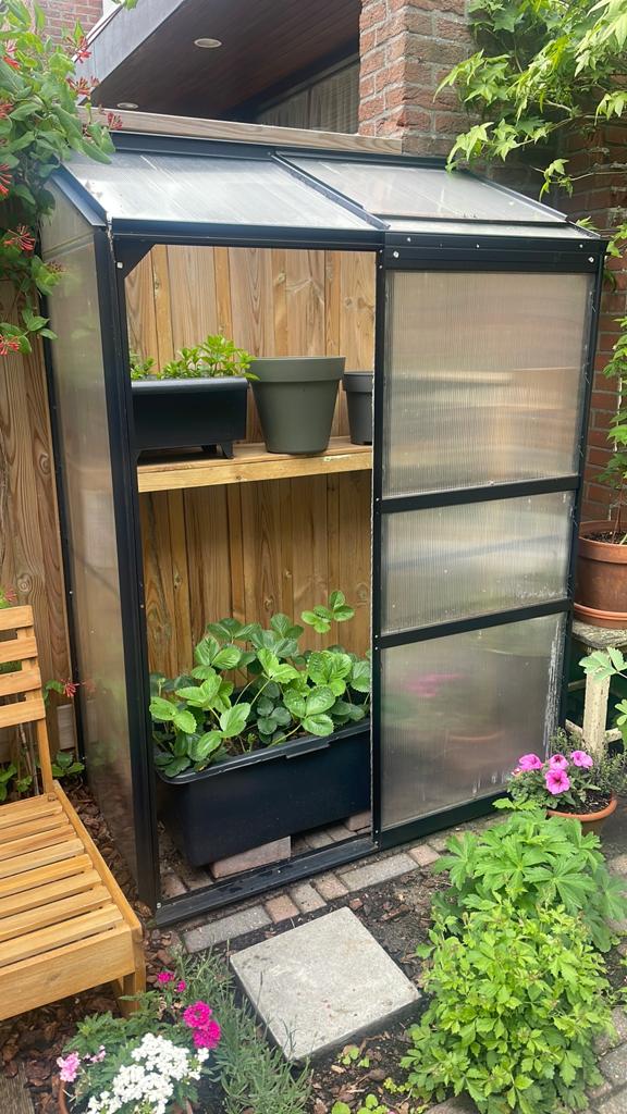 Mooie compacte muur kweekkas; ideaal voor de kleine tuin, Tuin en Terras, Kweekspullen, Ophalen, Zo goed als nieuw, Kweekkast