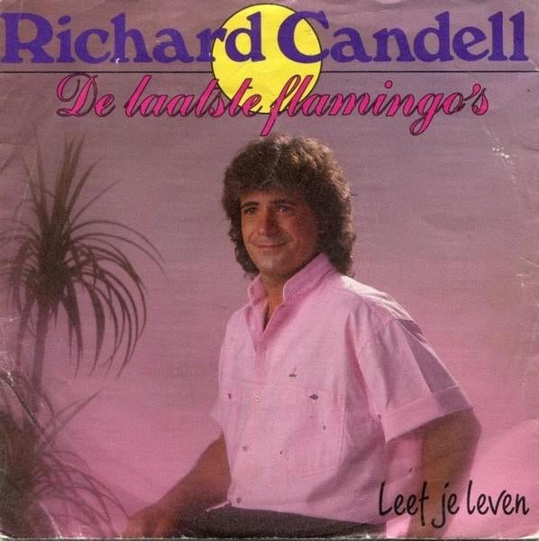 Vinylsingles richard candell gezocht  ,zie foto's, Cd's en Dvd's, Vinyl | Nederlandstalig, Ophalen of Verzenden, Zo goed als nieuw