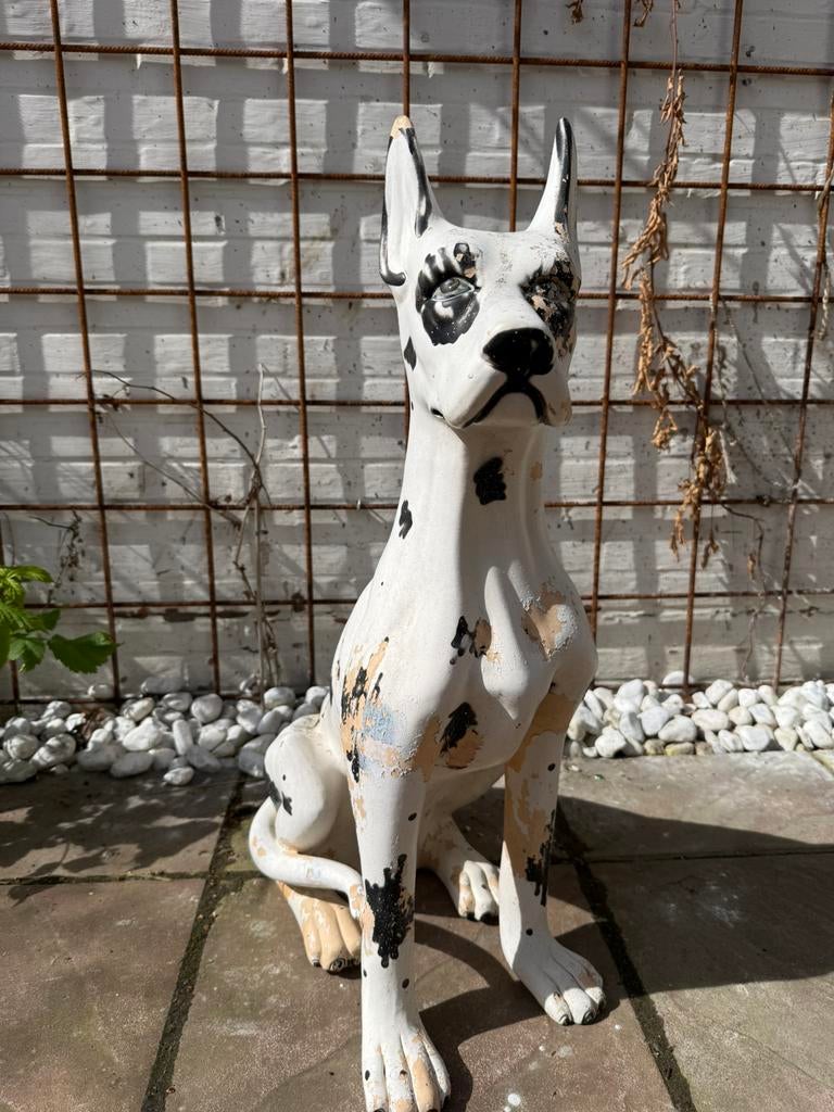 Groot beeld van een Duitse Dog (Great Dane), Ophalen of Verzenden, Zo goed als nieuw, Steen