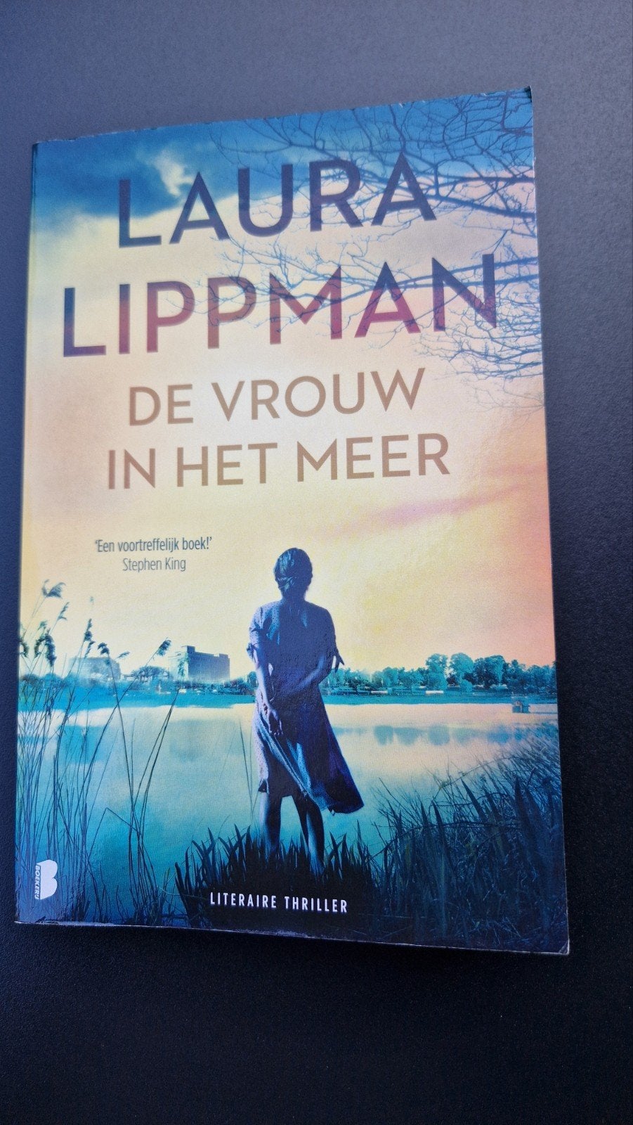 De vrouw in het meer - Laura Lippman, Ophalen, Gelezen