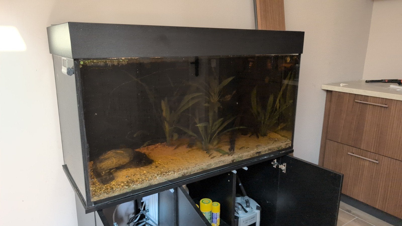 Compleet aquarium, Ophalen, Inclusief vissen, Gebruikt, Gevuld zoetwateraquarium