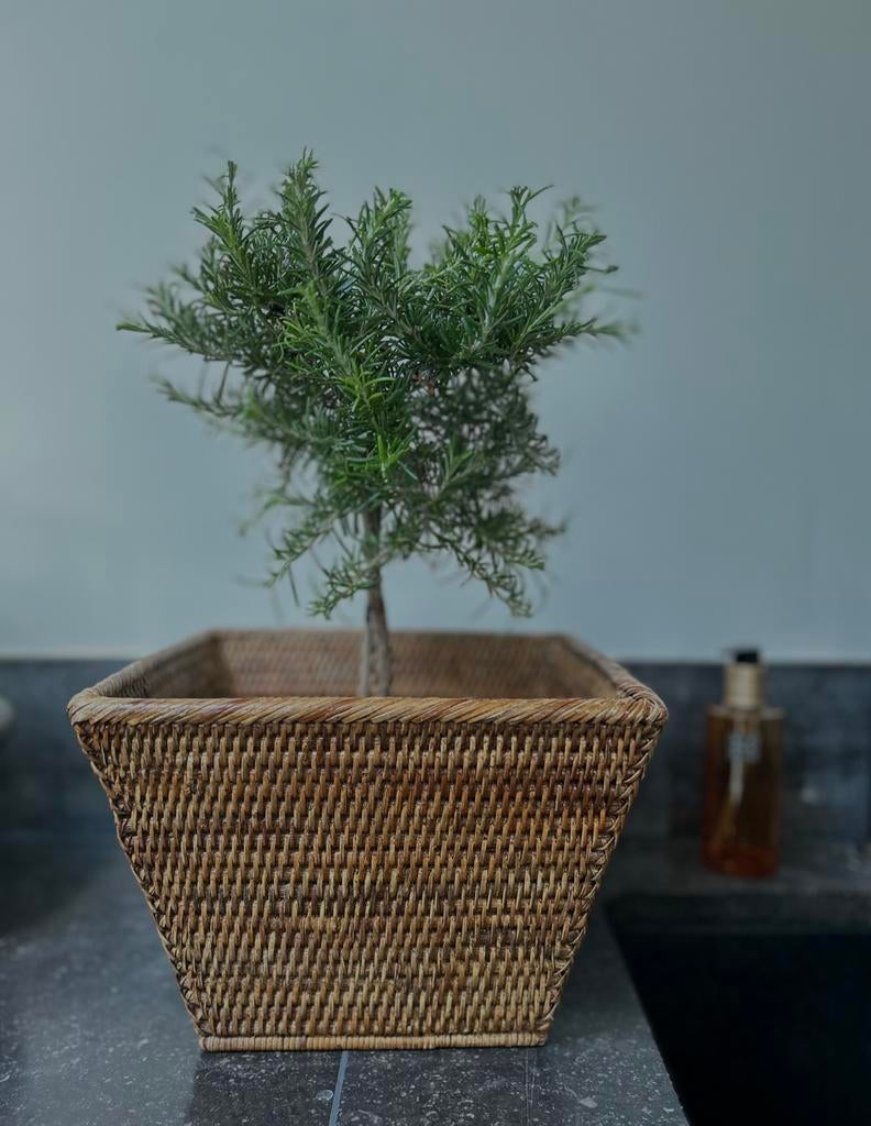 Birma Myanmar mand birmarieten mandje, Ophalen of Verzenden, Zo goed als nieuw, Rechthoekig, Riet