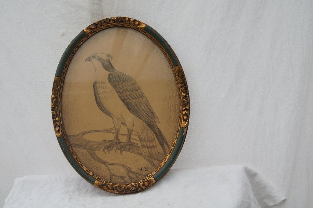 Ovaal tekening van een vogel in groen gouden lijst, Ophalen of Verzenden