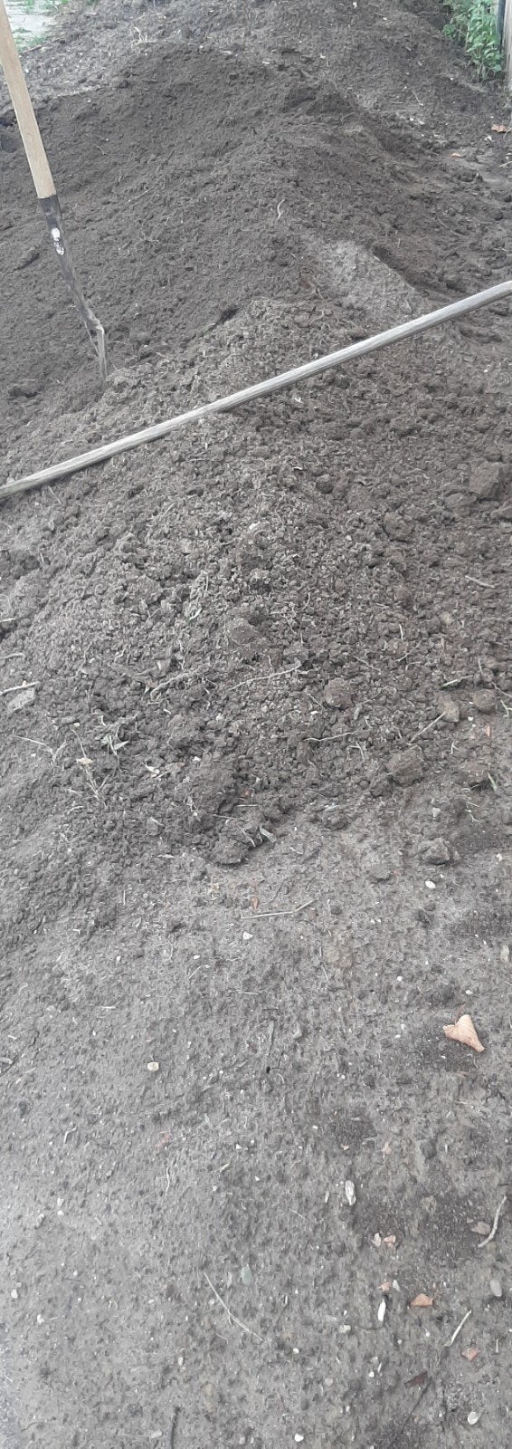 gratis  aarde (Tuin grond ) paar cub, Ophalen, Tuinaarde