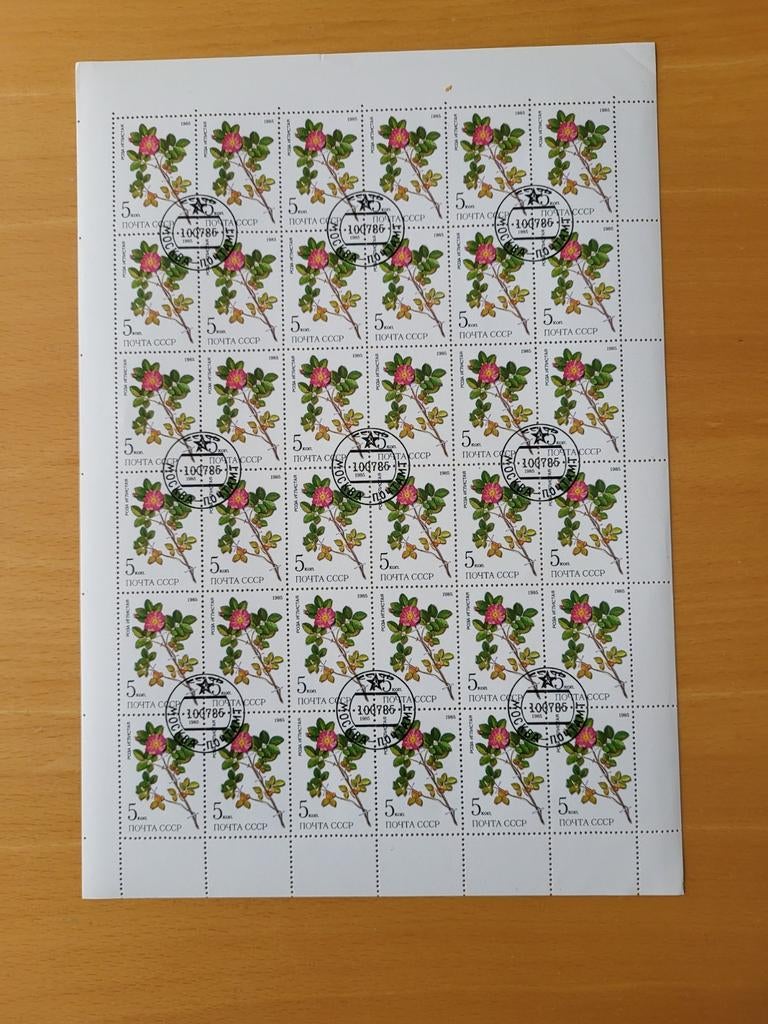 Sovjet-Unie (USSR) Postzegels 1985 - Rozenbottelbloem, Ophalen of Verzenden