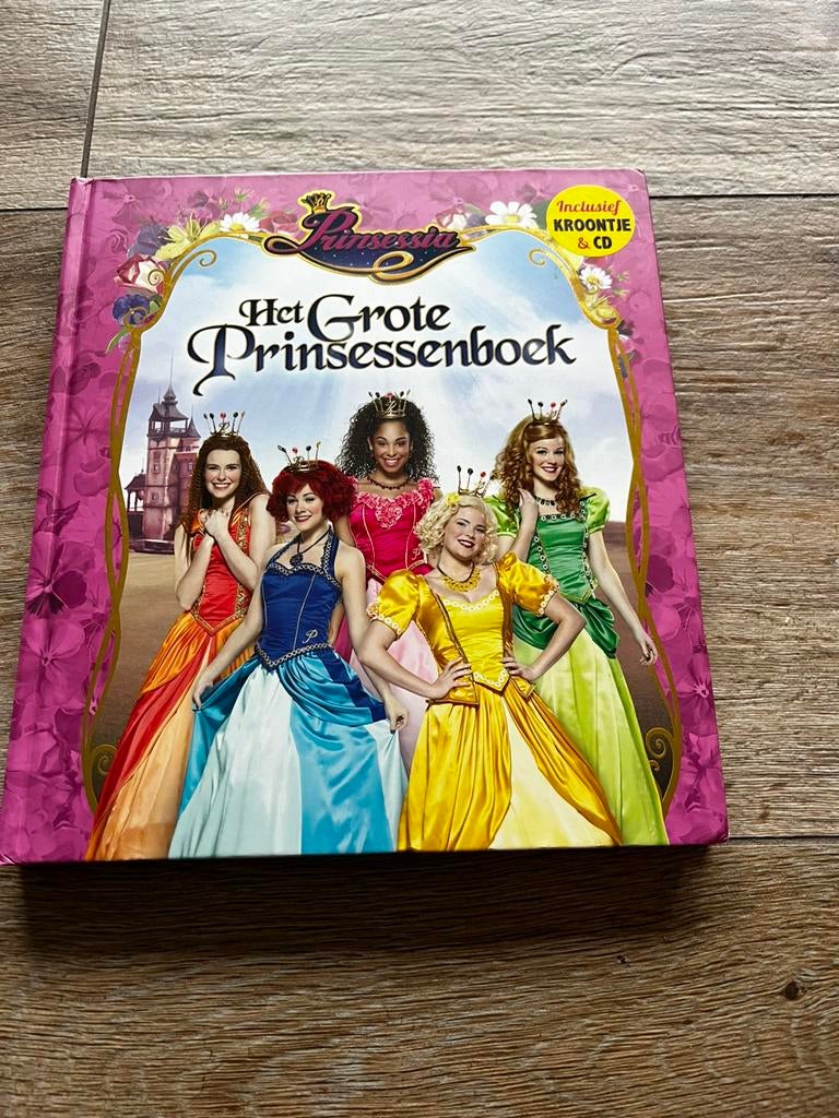 Het grote prinsessenboek, Boeken, Sprookjes en Fabels, Ophalen of Verzenden, Zo goed als nieuw