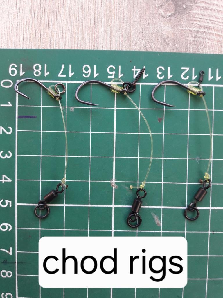 Karper Rigs  Probeer ze eens, Verzenden, Nieuw, Haak