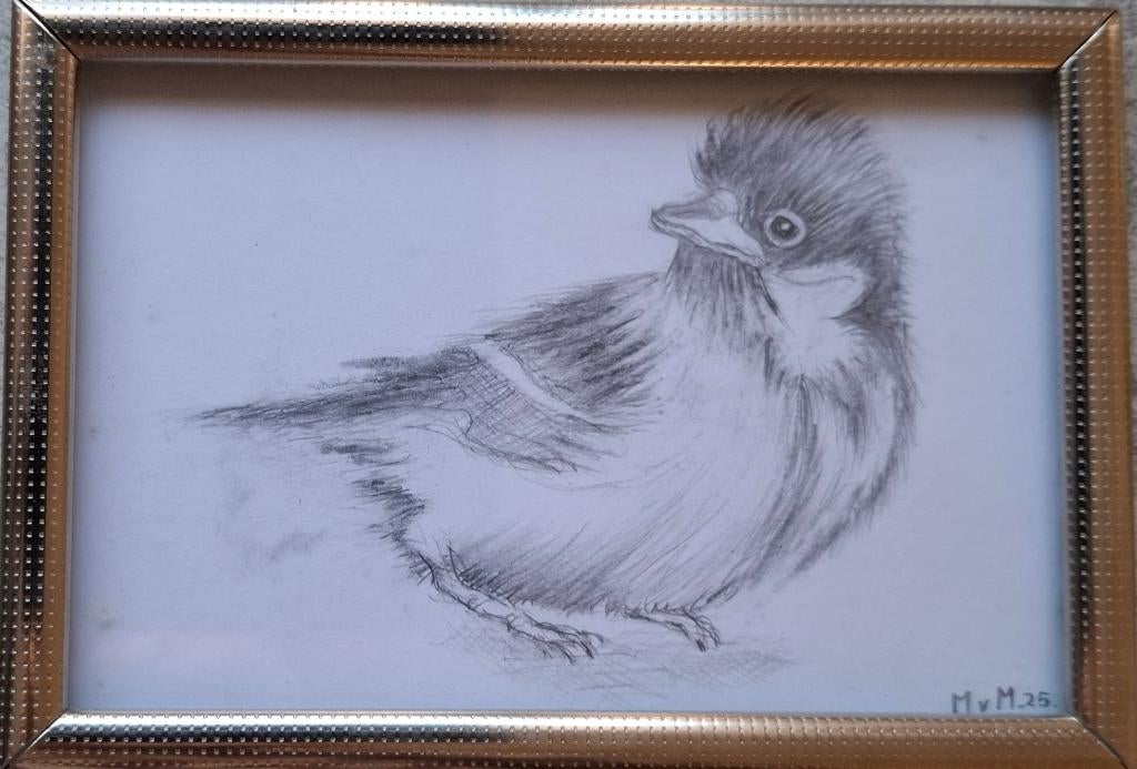 tekening Koolmees 9,5x13,5cm, Minder dan 50 cm, Tekening, Nieuw, Ophalen of Verzenden