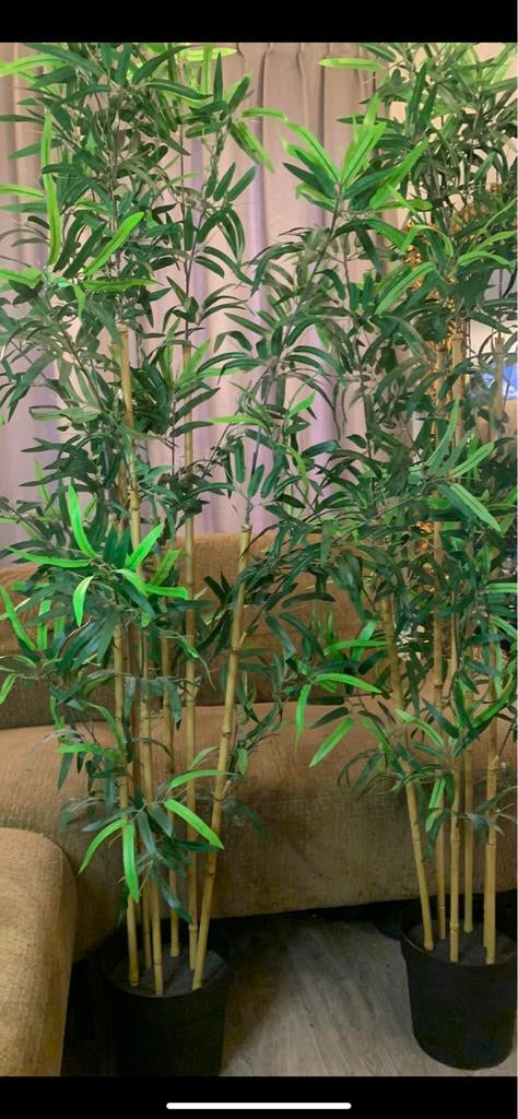 2 grote bamboe kunstplanten, Ophalen, Zo goed als nieuw, Binnen